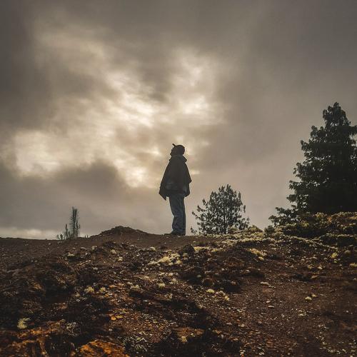 Photo #4810573