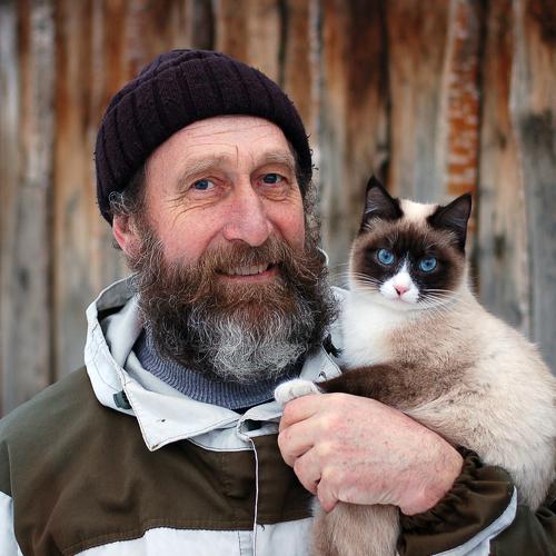 Photo #4810805