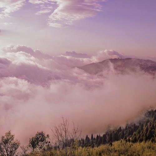 Paradise on Earth