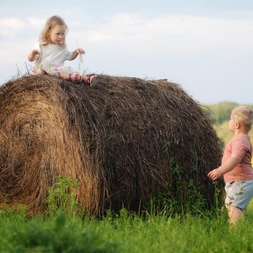 Photo #4811024