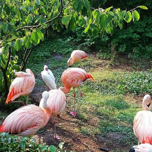 Photo #4811176