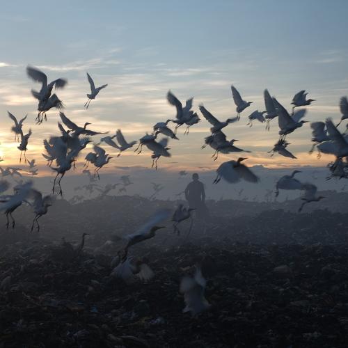 Happy Working in A Trash Field