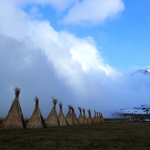 Photo #4811671