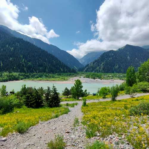 Photo #4811898