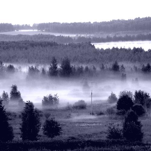 Photo #4812451