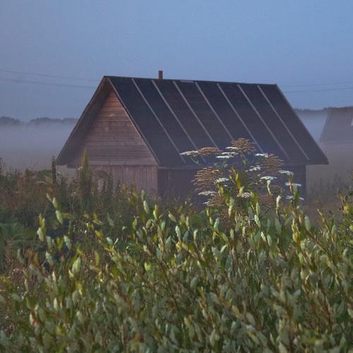 Photo #4813034