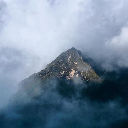 Photo #4813062