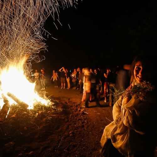 Photo #4813066