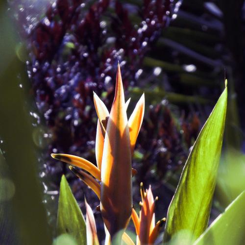 Photo #4813109