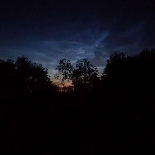 White Night