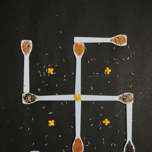 Photo #4813412