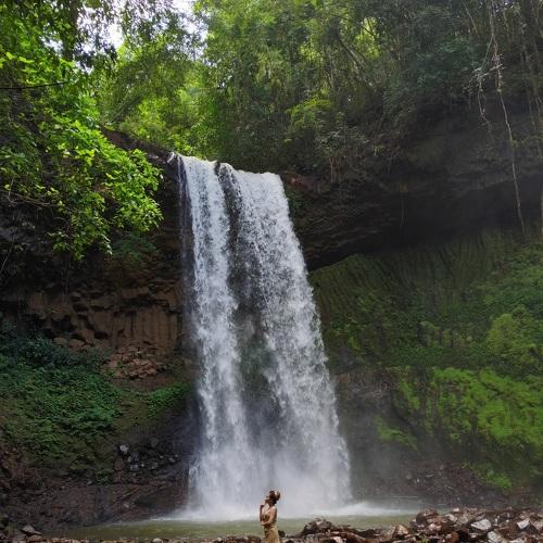Photo #4814119