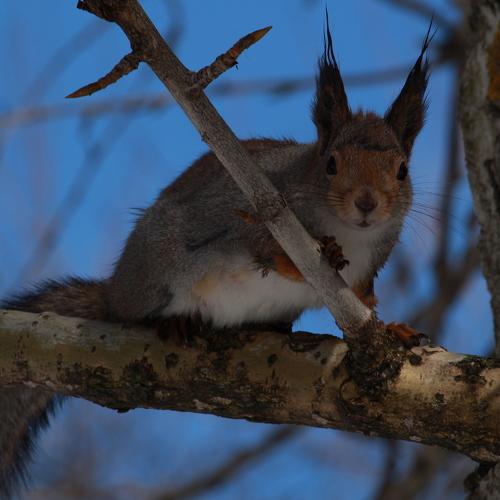 Photo #4814421