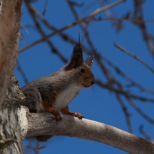 Photo #4814423