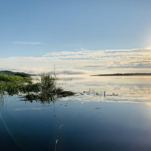 Photo #4814646