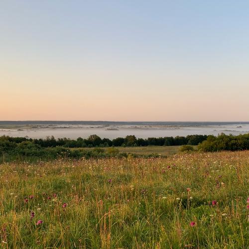 Photo #4814650