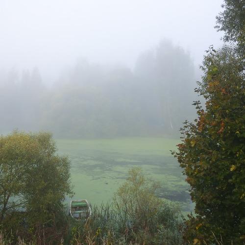 Photo #4814744