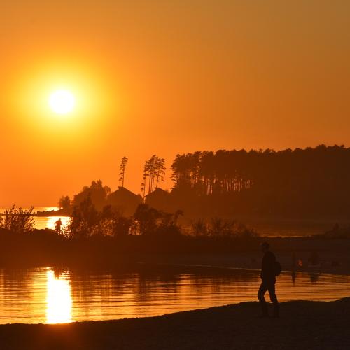 Photo #4815030
