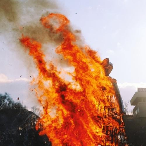 Photo #4815042