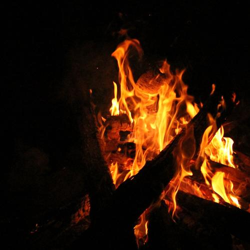 Photo #4815204
