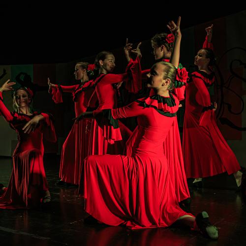 Photo #4815351