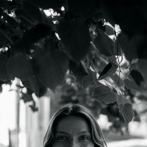 Photo #4815632