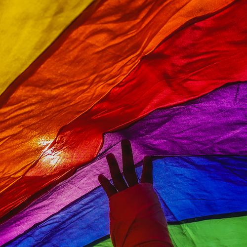 Is Pride really a Proud !?