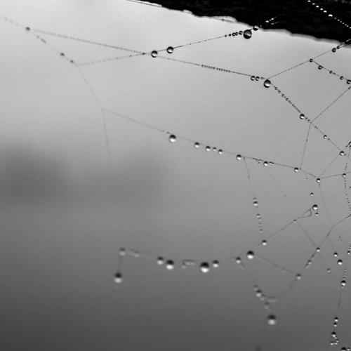 Photo #4816665