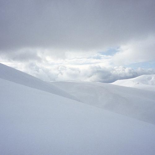 Photo #4816769