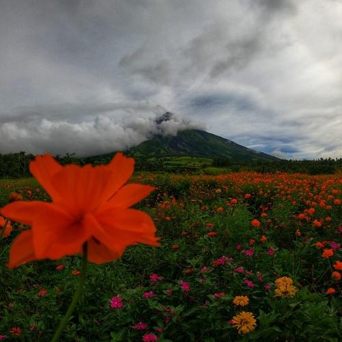 Photo #4817019