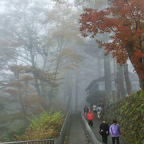 Foggy morning
