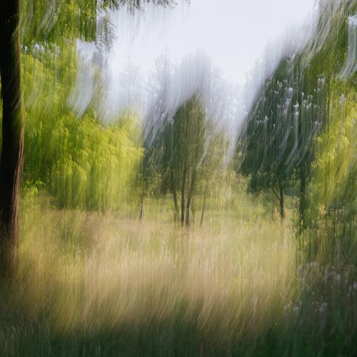 Photo #4817954