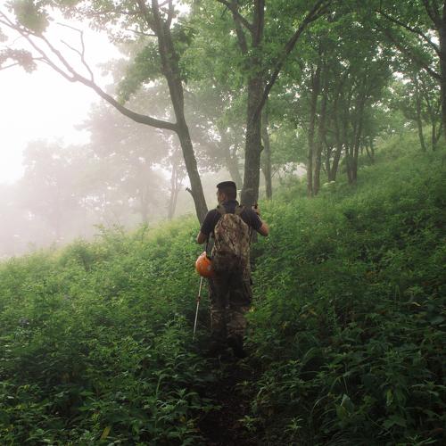 Photo #4818045