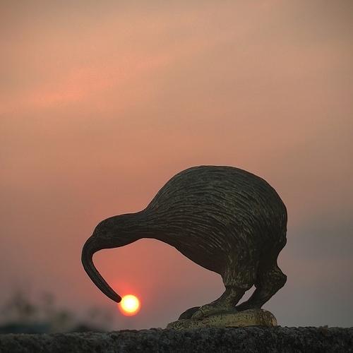 Photo #4818636