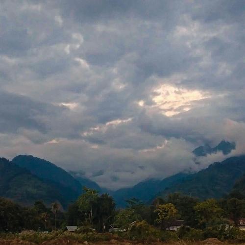 Photo #4818773