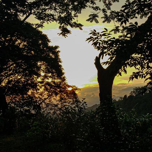 Photo #4818801