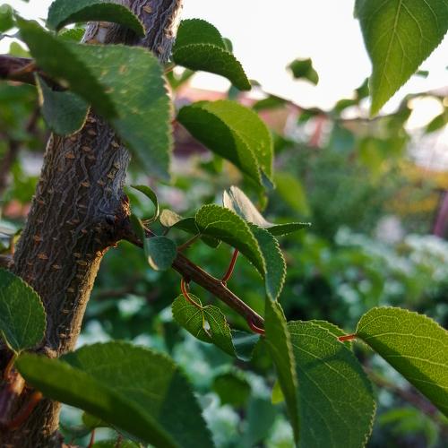 Photo #4819411