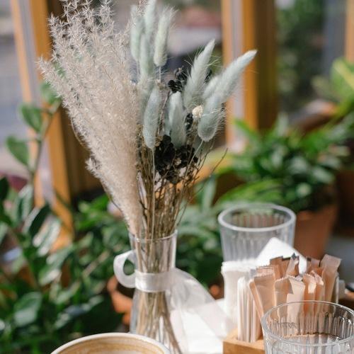 Photo #4819521