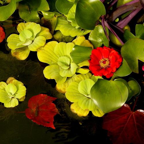 Photo #4819980