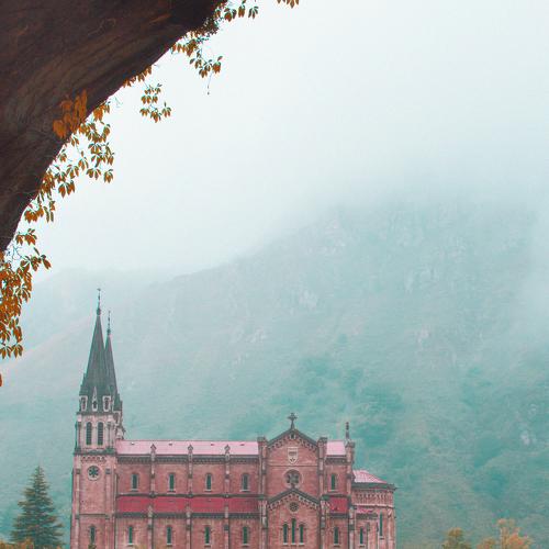 Photo #4820243