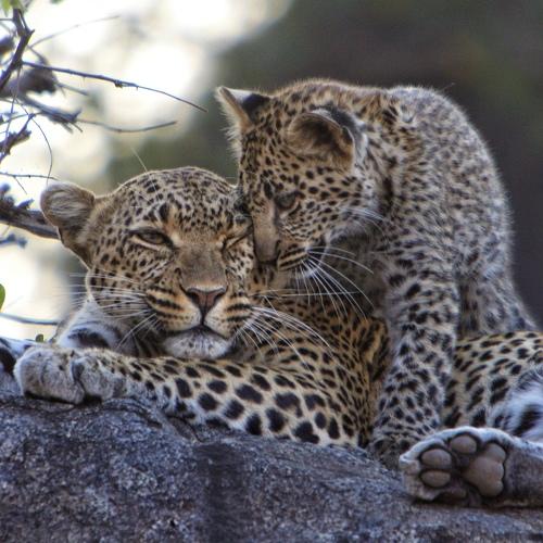 Photo #4820905