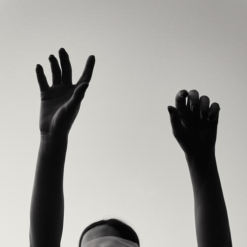 Photo #4821032