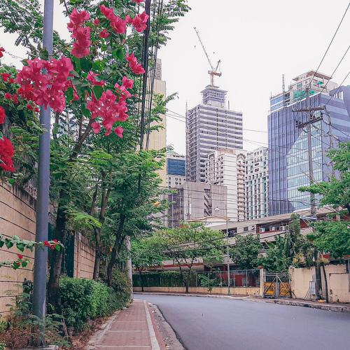 Empty street
