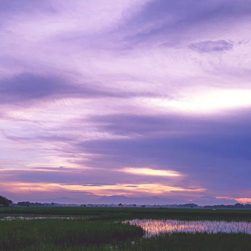 Morning sky