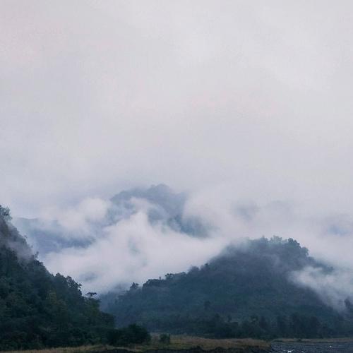 Photo #4821121