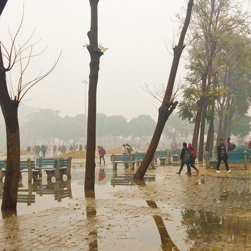 Photo #4821123