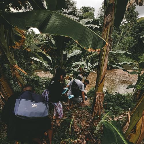 Photo #4821274