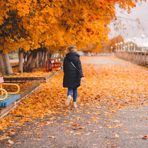 leaf fall