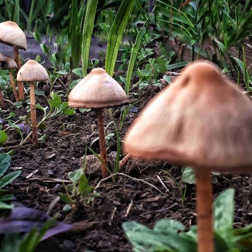 Photo #4821523