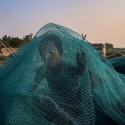 Photo #4821584